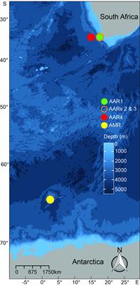 The Beat Goes On: Humpback Whale Song Seasonality in Antarctic and South African Waters